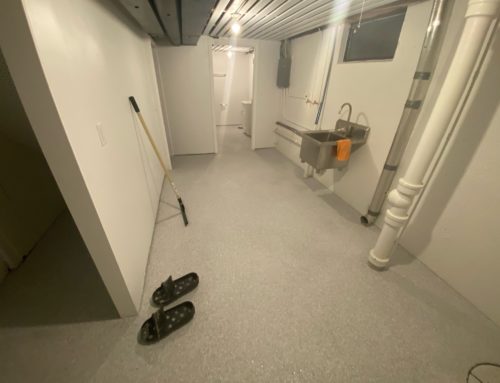 Basement Bath & Laundry area in Cobalt